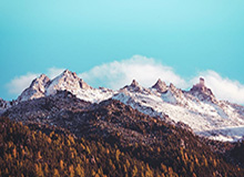 开云体育APP下载：开启属于你的全新体育观赛之门